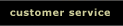 Customer Service  